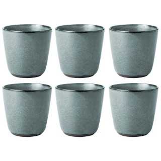Aida RAW Krus 0,3L 6 stk. Northern Green