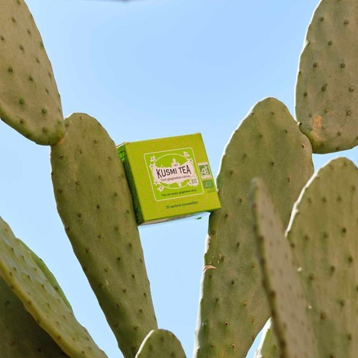 Kusmi Grøn Te Citron og Ingefær Økologisk 100g