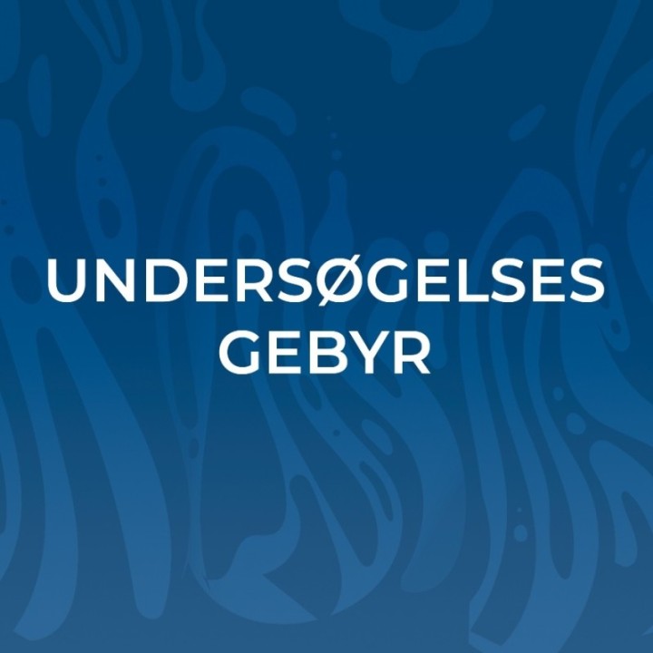 Undersøgelsesgebyr
