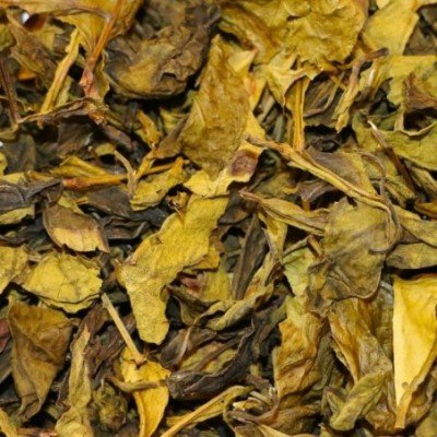 Ceylon UVA OP Hvid Te Økologisk 1kg