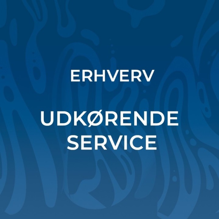 Udkørende Service