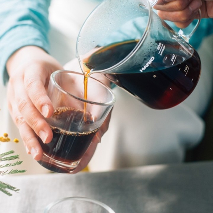 Hario Craft Science Beaker Filterbryg Sæt