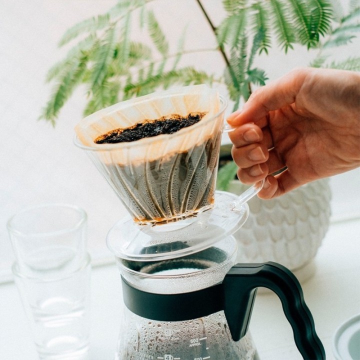 Hario Pegasus Plastik Dripper 02 Transparent