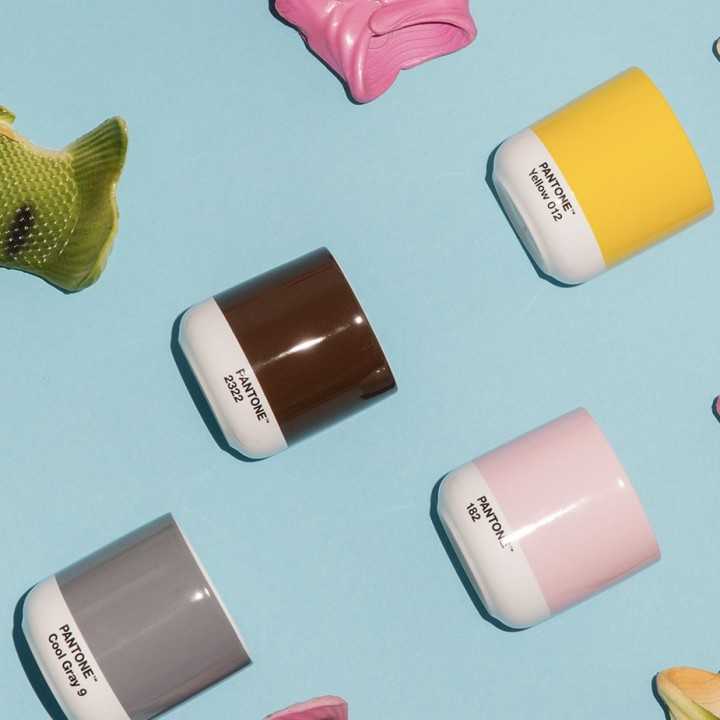 Pantone Latte Termokrus 22 cl Mørkegrå