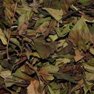 China Pai Mu Tan Hvid Te 1kg