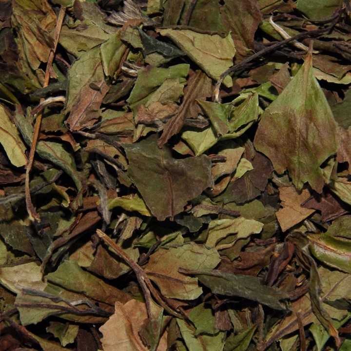 China Pai Mu Tan Hvid Te 1kg