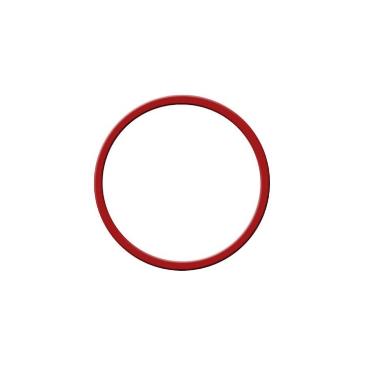 Rancilio Silvia Kedelpakning