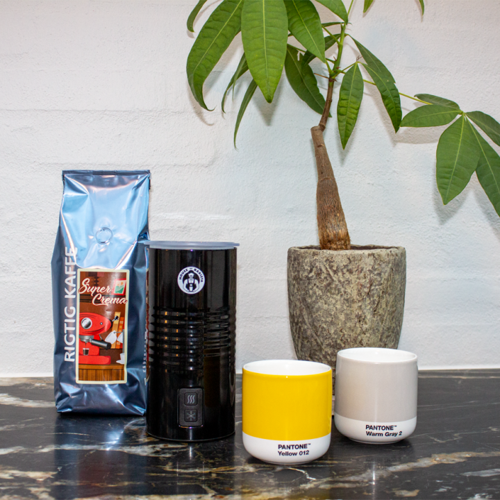 House of Barista Elektrisk Mælkeskummer