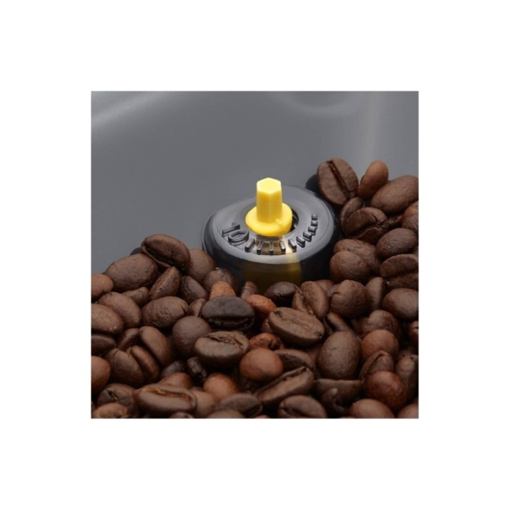 Gaggia Cadorna Prestige Inkl. 5kg Rigtig Kaffe Crema Intenso