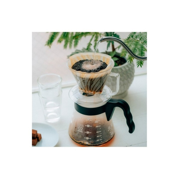 Hario Pegasus Plastik Dripper 02 Transparent