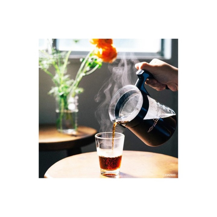 Hario Pegasus 02 Server 600ml