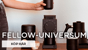 Fellow-Universum